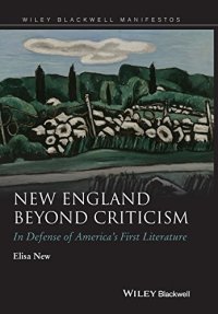 cover of the book New England beyond criticism : in defense of America's first literature