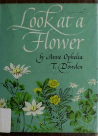 cover of the book Look at a Flower.