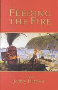 cover of the book Feeding the fire : poems