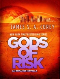 cover of the book Gods of Risk