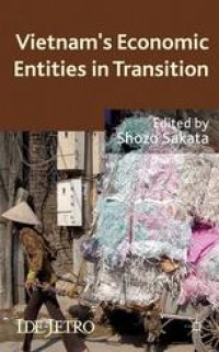 cover of the book Vietnam’s Economic Entities in Transition