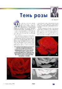 cover of the book Тень розы или создание сложных масок в Photoshop