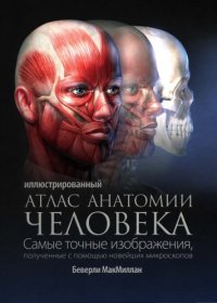 cover of the book Иллюстрированный атлас анатомии человека