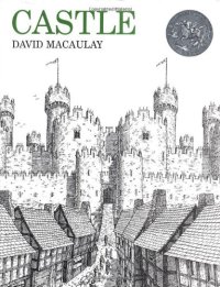 cover of the book Castle