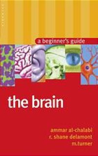 cover of the book The brain : a beginner's guide