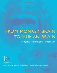 cover of the book A From Monkey Brain to Human Brain : Fyssen Foundation Symposium