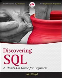 cover of the book Discovering SQL : a hands-on guide for beginners