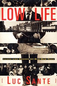 cover of the book Low Life: Lures and Snares of Old New York