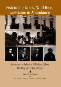 cover of the book Fish in the Lakes, Wild Rice, and Game in Abundance: Testimony on Behalf of Mille Lacs Ojibwe Hunting and Fishing Rights