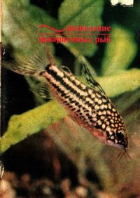 cover of the book Разведение аквариумных рыб