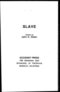 cover of the book Slave