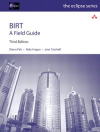 cover of the book BIRT  A Field Guide