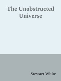 cover of the book The unobstructed universe