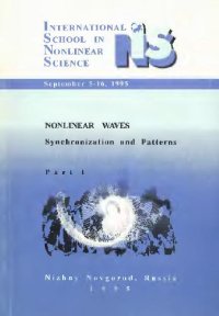 cover of the book Nonlinear waves, synchronization and patterns