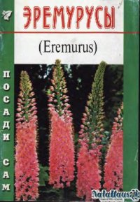 cover of the book Эремурусы