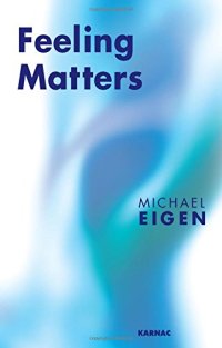 cover of the book Feeling Matters: From the Yosemite God to the Annihilated Self