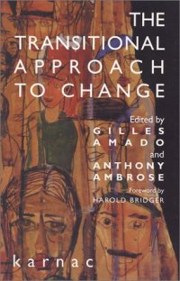 cover of the book The Transitional Approach to Change