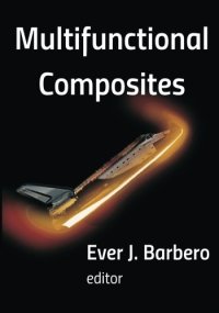 cover of the book Multifunctional Composites