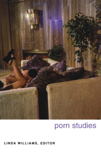 cover of the book Porn studies