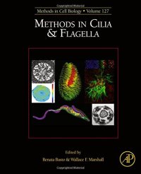 cover of the book Methods in Cilia & Flagella