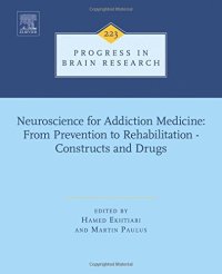 cover of the book Neuroscience for addiction medicine : from prevention to rehabilitation : constructs and drugs