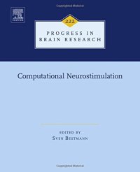 cover of the book Computational neurostimulation