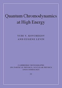 cover of the book Quantum chromodynamics at high energy