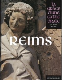 cover of the book Amiens