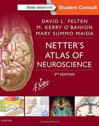 cover of the book Netter's Atlas of Neuroscience, 3e