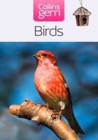 cover of the book Birds (Collins Gem)