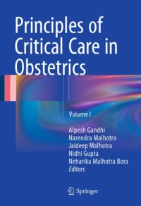 cover of the book Principles of Critical Care in Obstetrics