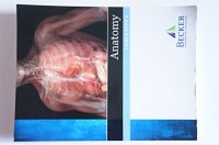 cover of the book USMLE, Step 1 Review, Anatomy