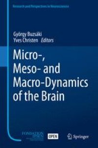 cover of the book Micro-, Meso- and Macro-Dynamics of the Brain