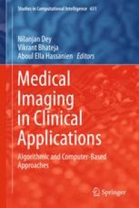 cover of the book Medical Imaging in Clinical Applications: Algorithmic and Computer-Based Approaches