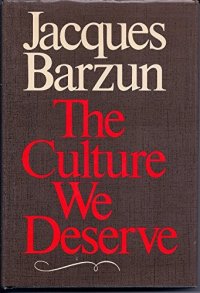 cover of the book The Culture We Deserve