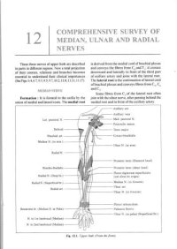 cover of the book A.K Dutta Superior & inferior extremities