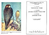 cover of the book Полный определитель птиц СССР. Том 3