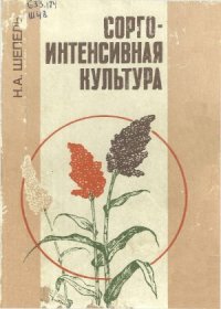 cover of the book Сорго — интенсивная культура
