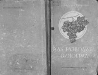 cover of the book Как разводить виноград