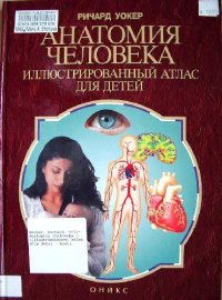 cover of the book Анатомия человека