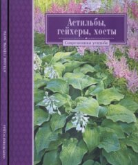 cover of the book Астильбы, гейхеры, хосты