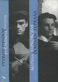 cover of the book Осколки зеркала