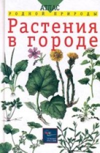 cover of the book Растения в городе