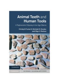 cover of the book Animal Teeth and Human Tools  A Taphonomic Odyssey in Ice Age Siberia