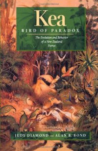 cover of the book Kea, Bird of Paradox: The Evolution and Behavior of a New Zealand Parrot