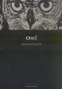 cover of the book Owl