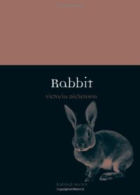 cover of the book Rabbit