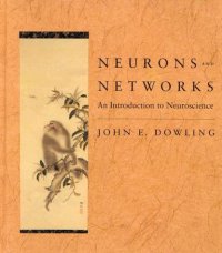 cover of the book Neurons and Networks: An Introduction to Neuroscience