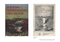 cover of the book Жизнь тихоокеанских лососей