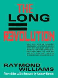 cover of the book The Long Revolution